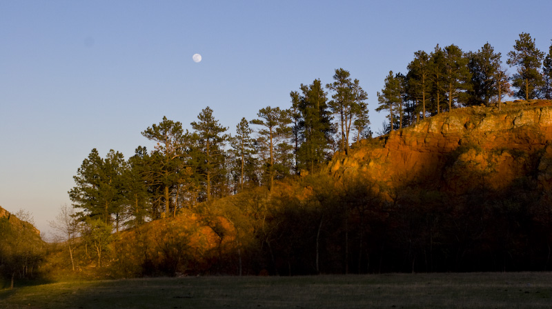 Moon Above Forested Hillside At Sunset